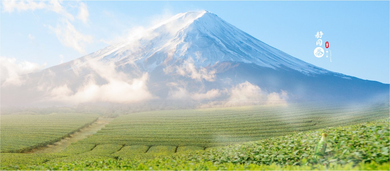 Shizuoka Green Tea : The Origin